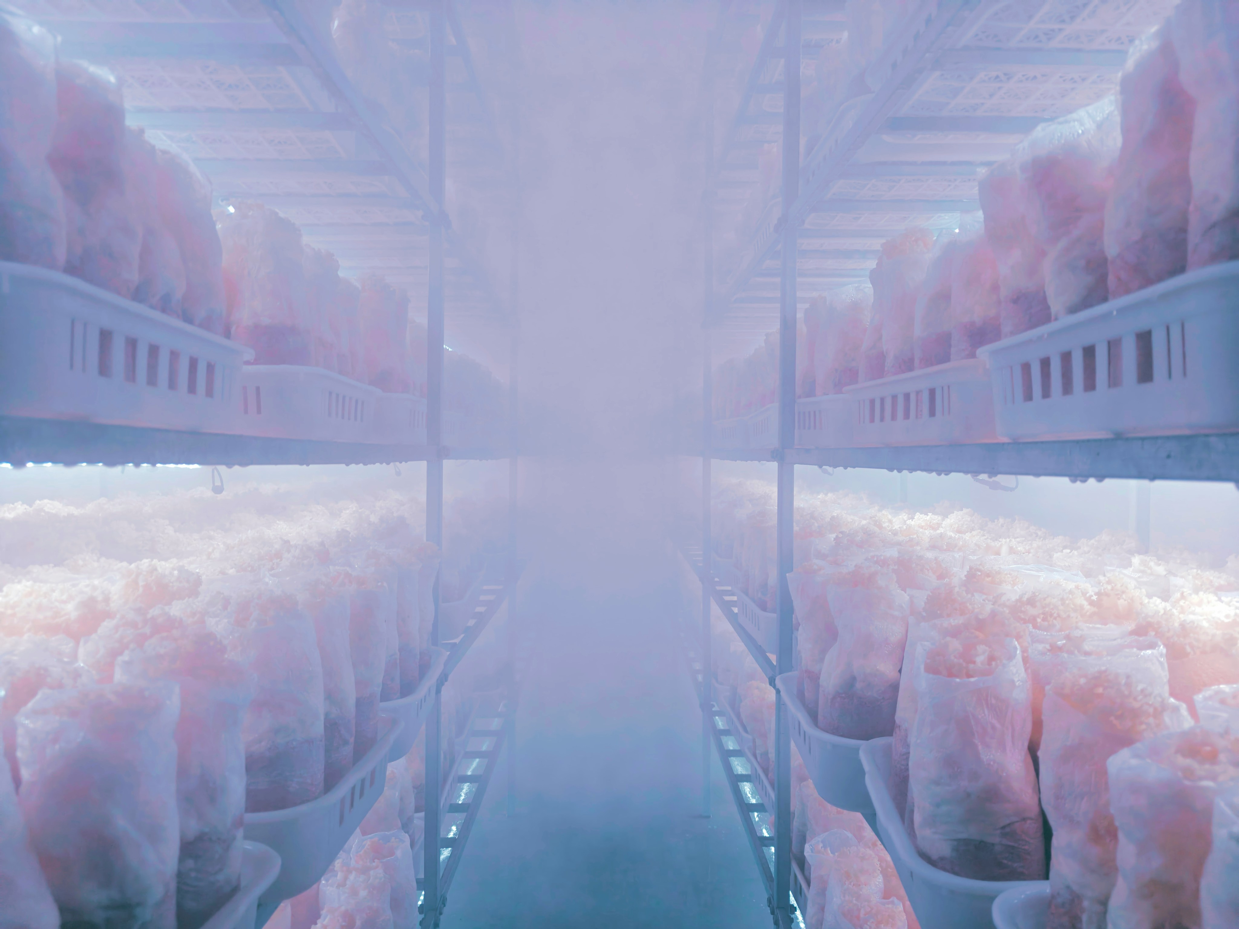 Pacific Cold Storage